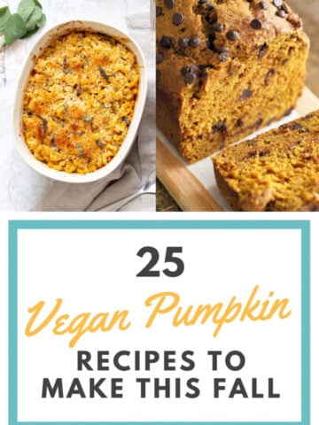 25 Vegan Pumpkin Recipes to Make this Fall. Pumpkin Crumb Cake, Bread, Muffins, Salad, Chili, Pasta, Pumpkin Cinnamon Rolls and More. | VeganRicha.com