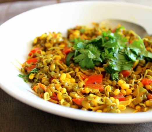 Mung bean sprouts sauteed with spices, served on a white plate